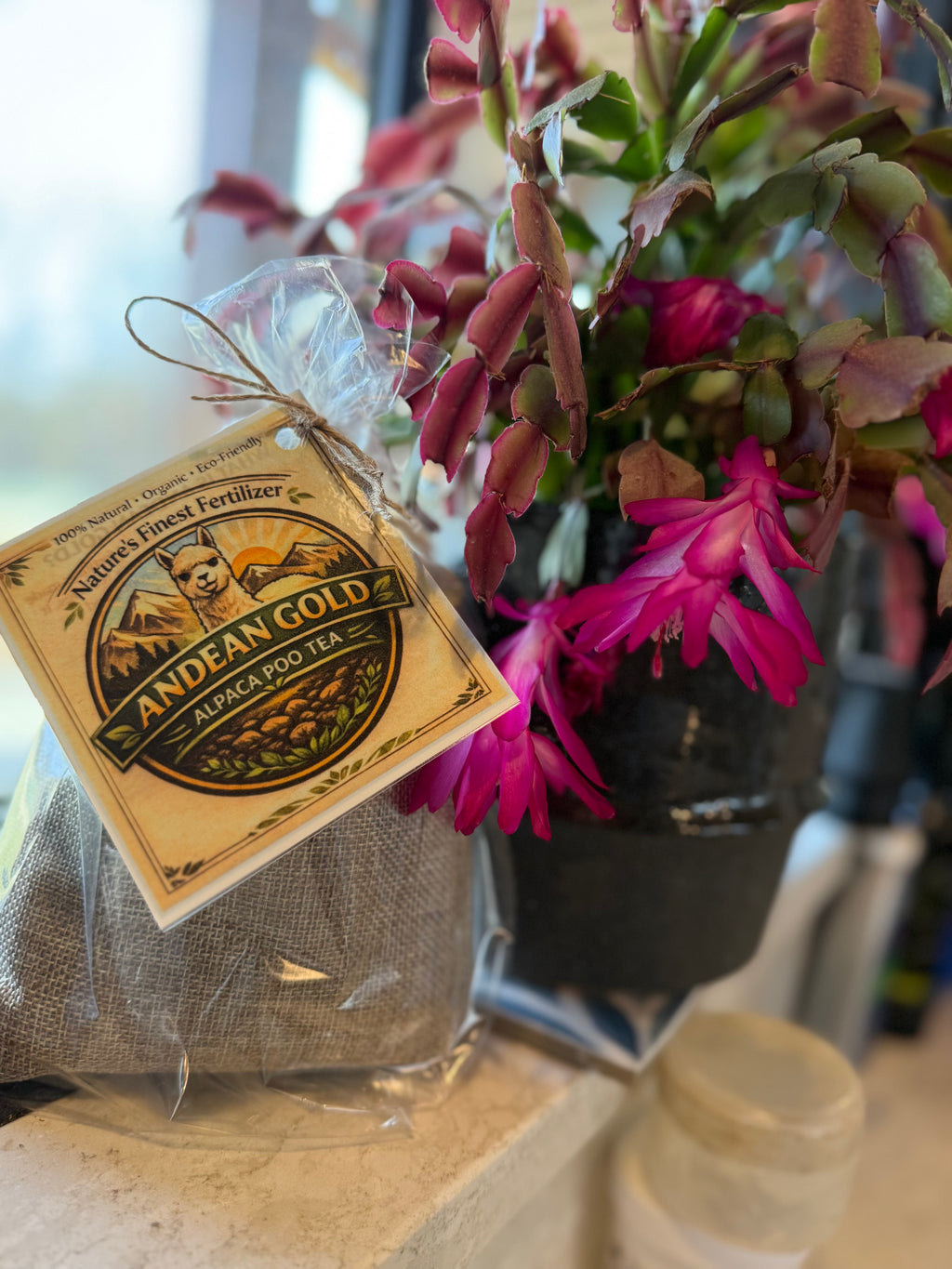 Alpaca Poo Tea
